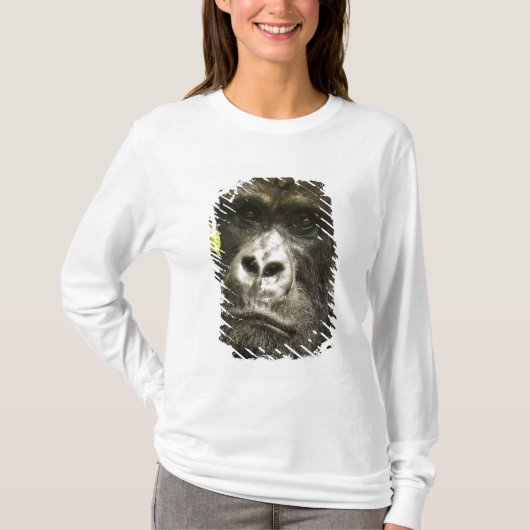 Berggorilla, Gorilla beringei beringei, T-shirt (Voorkant)