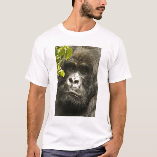 Berggorilla, Gorilla beringei beringei, T-shirt (Voorkant)