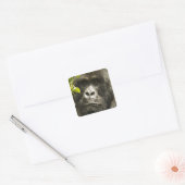 Berggorilla, Gorilla beringei beringei, Vierkante Sticker (Envelop)