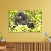 Berggorilla, Gorilla beringei (voorheen G. Canvas Afdruk (Insitu (Woonkamer))