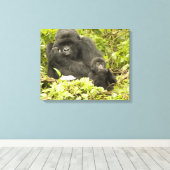 Berggorilla, Gorilla beringei (voorheen G. Canvas Afdruk (Insitu (Houten vloer))