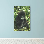 Berggorilla, (Gorilla gorilla beringei), Canvas Afdruk (Insitu (Houten vloer))