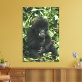 Berggorilla, (Gorilla gorilla beringei), Canvas Afdruk (Insitu (Woonkamer))