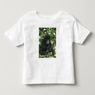 Berggorilla, (Gorilla gorilla beringei), Kinder Shirts