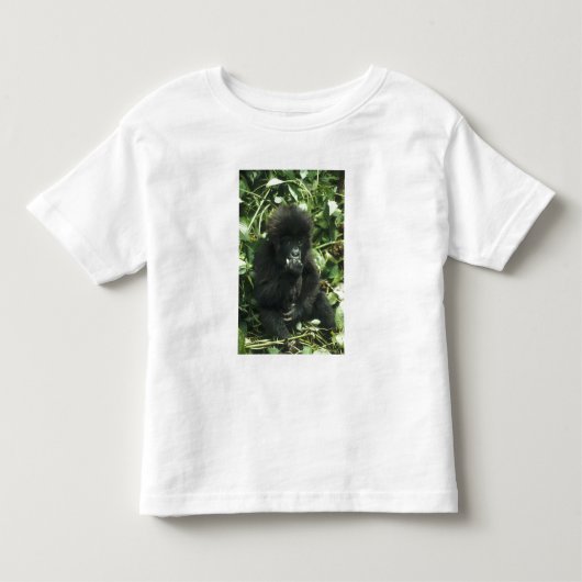 Berggorilla, (Gorilla gorilla beringei), Kinder Shirts (Voorkant)