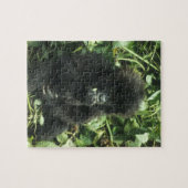 Berggorilla, (Gorilla gorilla beringei), Legpuzzel (Horizontaal)