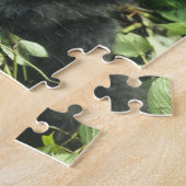 Berggorilla, (Gorilla gorilla beringei), Legpuzzel (Zijkant)