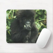 Berggorilla, (Gorilla gorilla beringei), Muismat (Met muis)