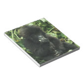 Berggorilla, (Gorilla gorilla beringei), Notitieblok (Schuin)
