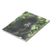 Berggorilla, (Gorilla gorilla beringei), Notitieblok (Linkerzijde)