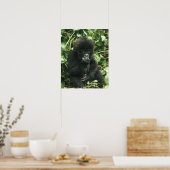 Berggorilla, (Gorilla gorilla beringei), Poster (Keuken)
