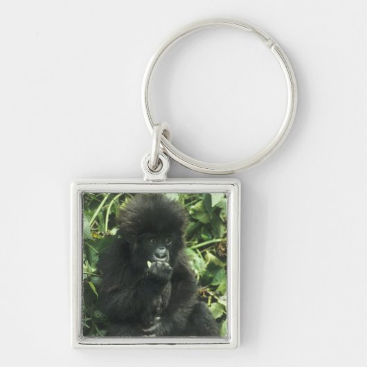 Berggorilla, (Gorilla gorilla beringei), Sleutelhanger (Voorkant)
