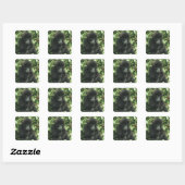 Berggorilla, (Gorilla gorilla beringei), Vierkante Sticker (Vel)