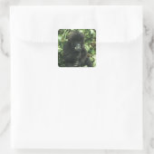 Berggorilla, (Gorilla gorilla beringei), Vierkante Sticker (Tas)