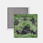 Berggorilla groep in Rwanda tekstmagneet Magneet (Voorkant / Achterkant)