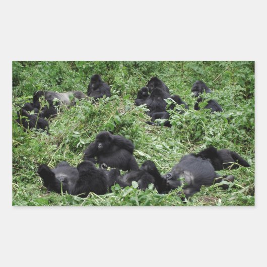Berggorilla groep rechthoek sticker (Voorkant)