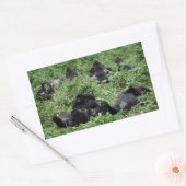 Berggorilla groep rechthoek sticker (Envelop)