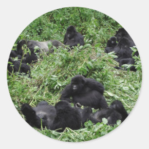 Berggorilla groep ronde sticker