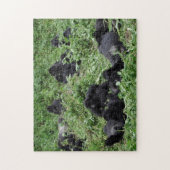 Berggorilla-puzzel Legpuzzel (Verticaal)