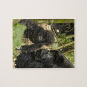 Berggorilla, volwassene met jong legpuzzel (Horizontaal)
