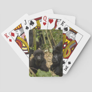 Berggorilla, volwassene met jong pokerkaarten