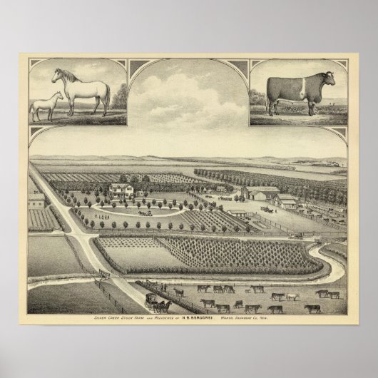 Berggren Boerderij, Nebraska Poster (Voorkant)