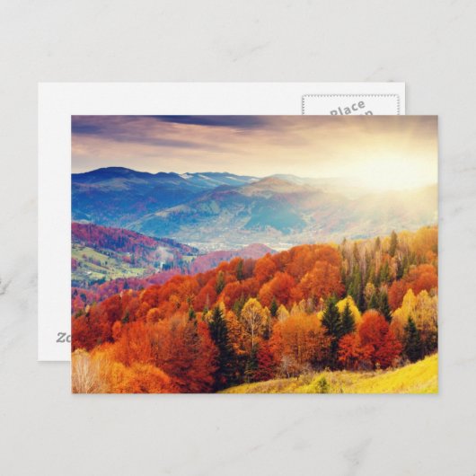 Bergherfstbos Briefkaart (Voorkant / Achterkant)