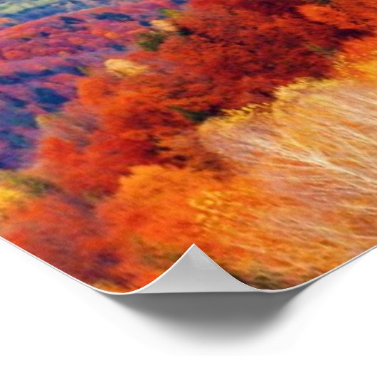 Bergherfstbos Poster (Hoek)