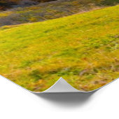 Bergherfstlandschap met bos poster (Hoek)