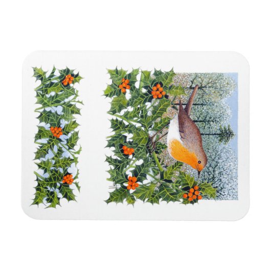 Berging Magneet (Horizontaal)