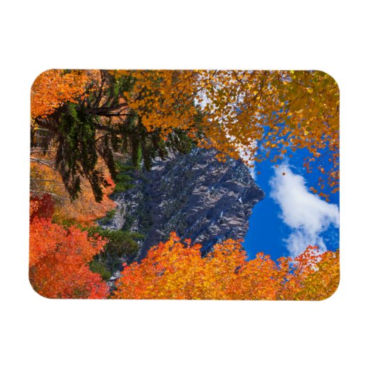 Bergkast in herfst, CA Magneet (Horizontaal)