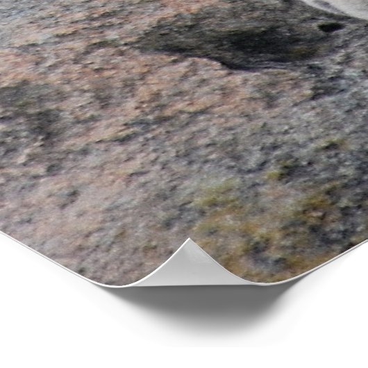 bergklimmen van leeuw poster (Hoek)