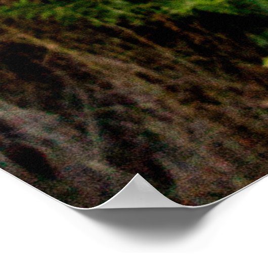 Bergkraan Poster (Hoek)