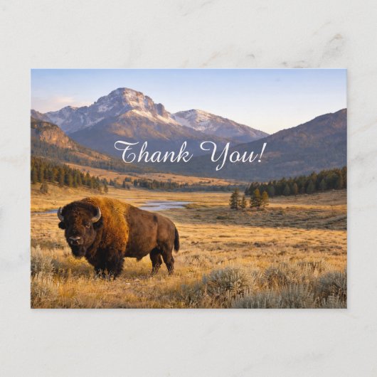 Berglandschap Amerikaanse Bizon Dank Je Briefkaart (Voorkant)