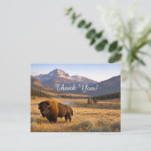 Berglandschap Amerikaanse Bizon Dank Je Briefkaart (Staand voorkant)