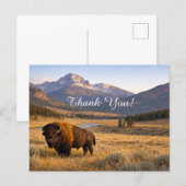Berglandschap Amerikaanse Bizon Dank Je Briefkaart (Voorkant / Achterkant)