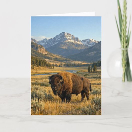 Berglandschap Amerikaanse Bizon Dekentje Kaart (Voorkant)