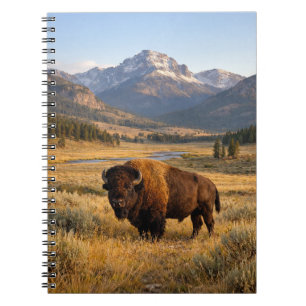 Berglandschap Amerikaanse Bizon Notitieboek