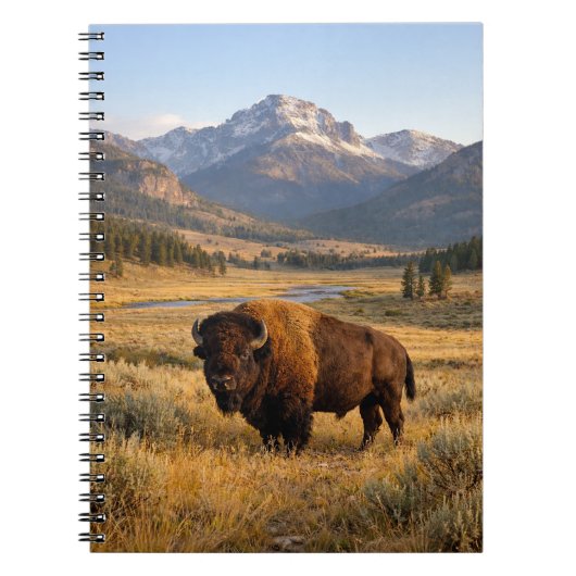 Berglandschap Amerikaanse Bizon Notitieboek (Voorkant)