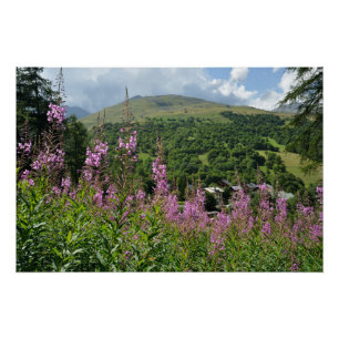 berglandschap perfect poster