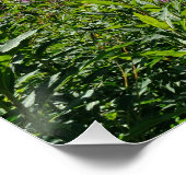 berglandschap perfect poster (Hoek)