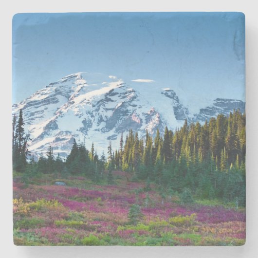 berglandschap stenen onderzetter (Voorkant)