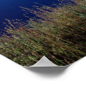 Berglandschap - Wyoming Poster (Hoek)