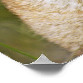 Bergleeuw - De bloemen smelten Poster (Hoek)