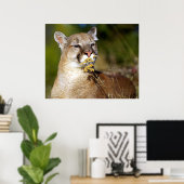 Bergleeuw - De bloemen smelten Poster (Thuiskantoor)