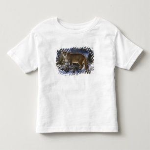 Bergleeuw Kinder Shirts