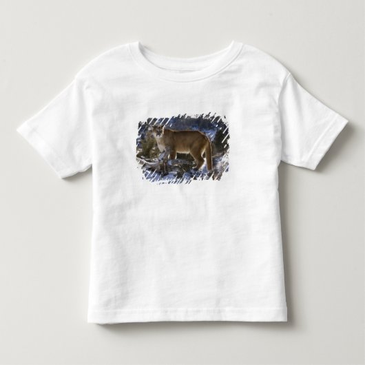 Bergleeuw Kinder Shirts (Voorkant)