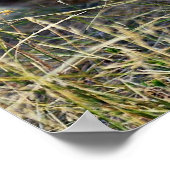 Bergleeuw op de berg poster (Hoek)