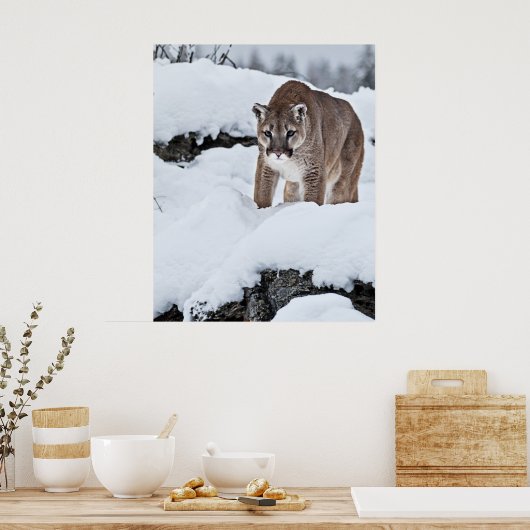 Bergleeuw op de hunt poster (Keuken)