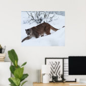 Bergleeuw op de Prowl Poster (Thuiskantoor)